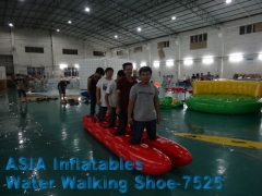 Inflatable Water Park Business Plan, Huge Inflatable Water Walking Shoes & Lakes Entrance Aqua Park